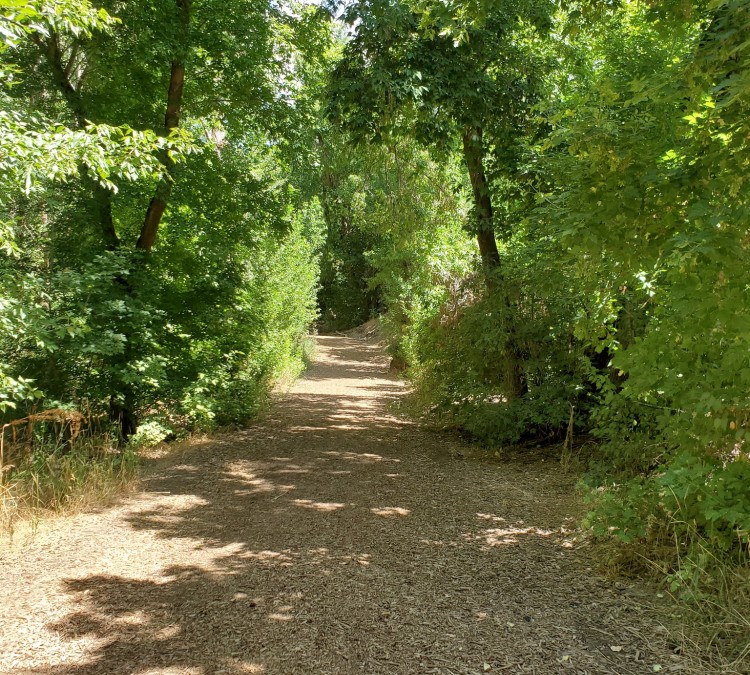 The Gailey Trail at Nicholls Park (Kaysville,&nbspUT)
